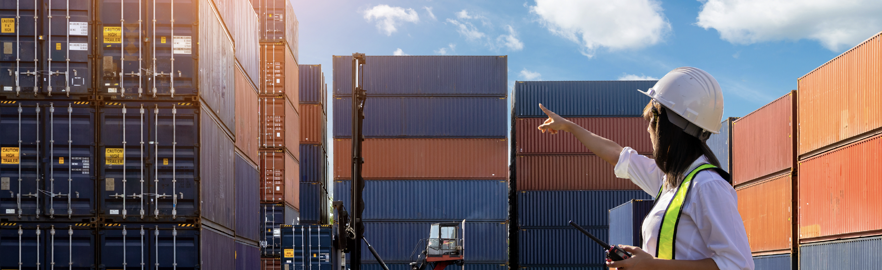 Captura de pantalla 2025-01-17 a la(s) 2.05.50 p.m.